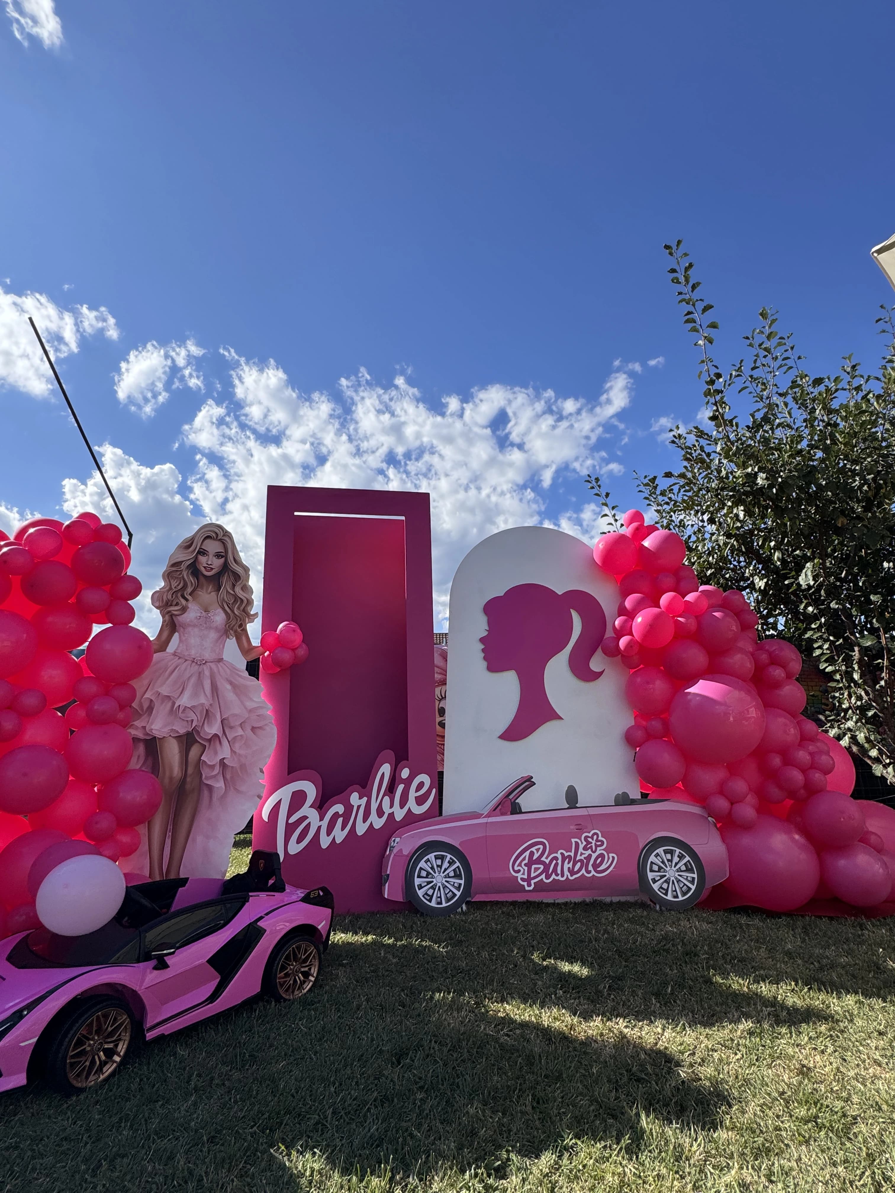 Aranjamente Baloane 11